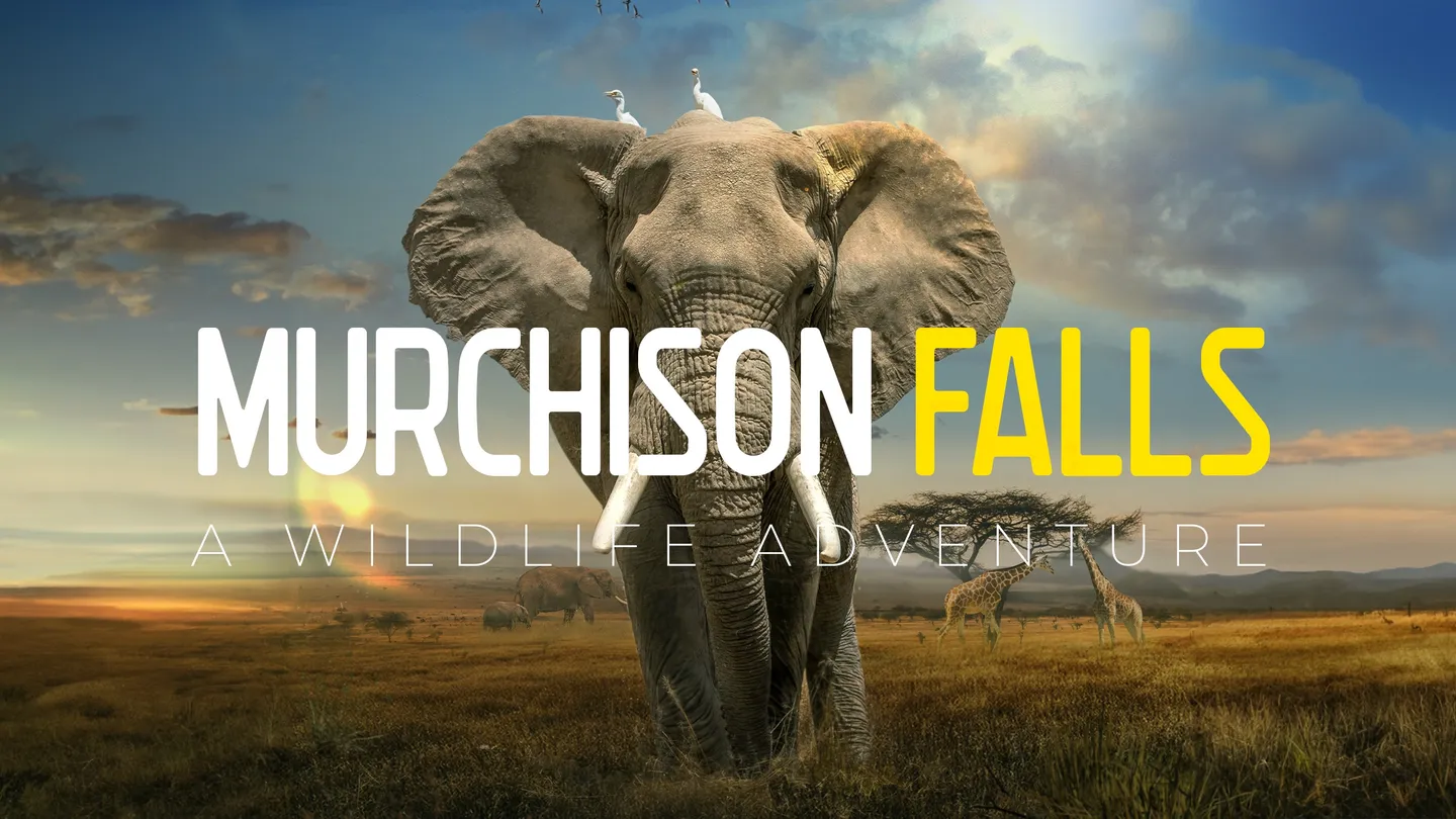Meta Quest 游戏《野生动物探险之旅》Murchison Falls: The Awarded Wildlife Adventure with Elephants, Lions and Hyenas-魔趣网精选