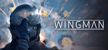 翼人计划VR(Project Wingman)-魔趣网精选