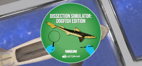 Oculus Quest 游戏《解剖模拟器 鲨鱼》Dissection Simulator: Shark Edition VR-魔趣网精选