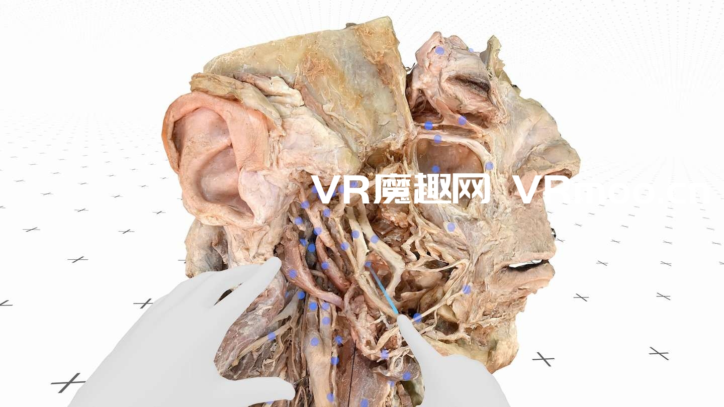 Oculus Quest 游戏《医疗全息甲板解剖大师 XR》Medicalholodeck is Dissection Master XR Oculus Quest 游戏《医疗全息甲板解剖大师 XR》Medicalholodeck is Dissection Master XR