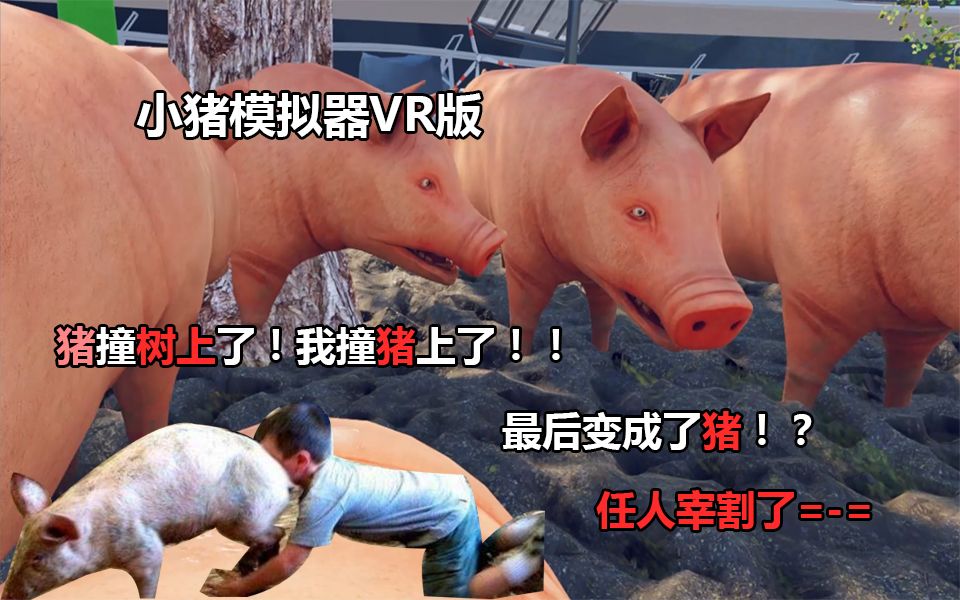 小猪模拟器(pig simulator VR) 小猪模拟器(pig simulator VR)
