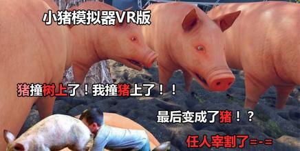 小猪模拟器(pig simulator VR)-魔趣网精选