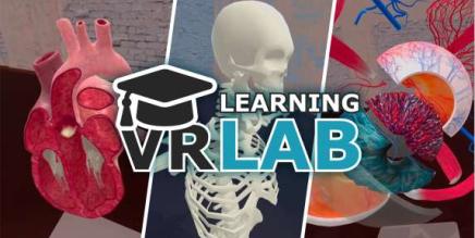 Oculus Quest 游戏《解剖实验室》VR Anatomy Lab-魔趣网精选