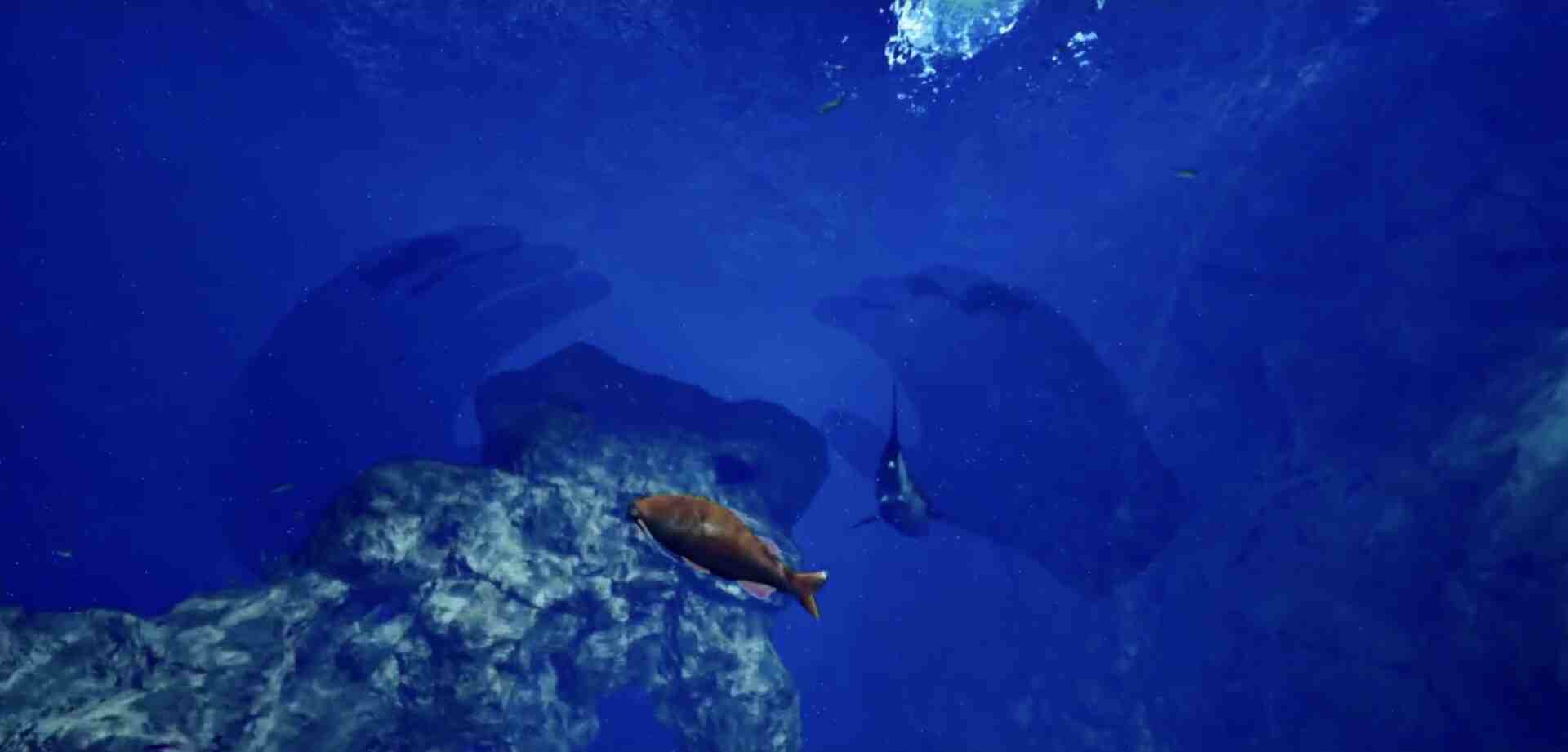 8月32日 水族馆VR(8月32日の水族館VR)