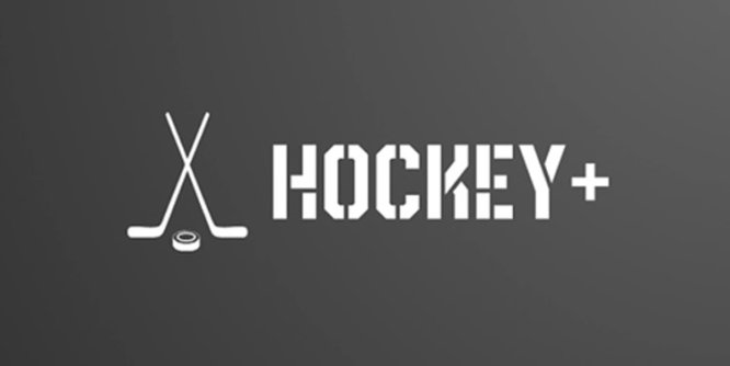 Oculus Quest 游戏《曲棍球+》Hockey+ - 历史版本-魔趣网精选