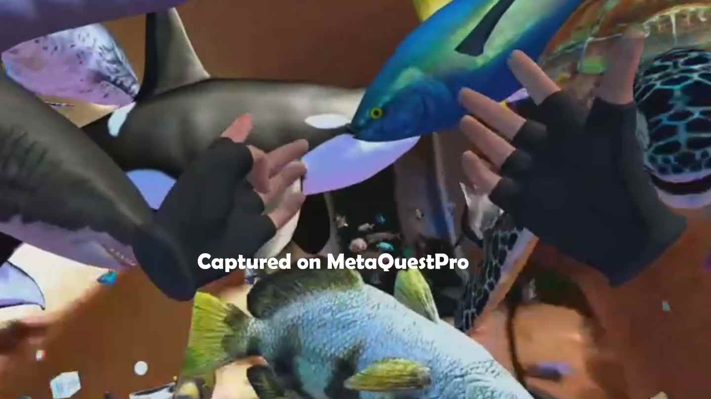 Meta Quest 游戏《陆地和海洋混合现实》Landz and Seaz Mixed Reality